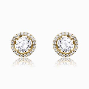 Shining earrings